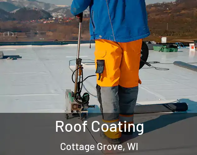  Roof Coating Cottage Grove, WI