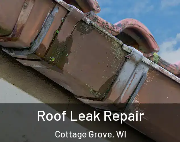  Roof Leak Repair Cottage Grove, WI